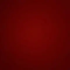 たくと様専用