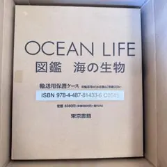 N&Y様 リクエスト 2点 まとめ商品