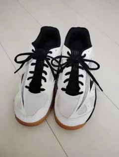 【miさま専用】Mizuno バレーボールシューズ 22.5cm