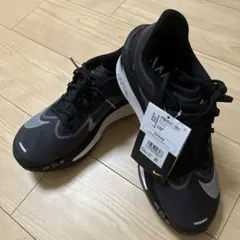 ナイキ　ズームフライ6