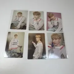 CARAT LAND ドギョム 2024