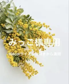☺︎みっこ様専用ページ☺︎