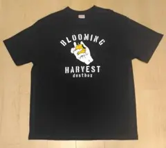 2026年最新】dustbox tシャツ xlの人気アイテム - メルカリ