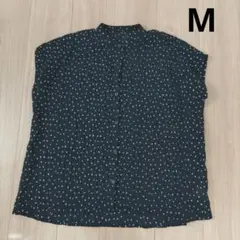 Item thumbnail for item 3bd467b7-5e2d-4812-96d3-ffd6468ec495