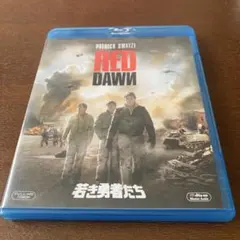 Item thumbnail for item 913a231d-fc45-4eff-9d0d-769c3abfd3ac