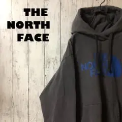 激レア ノースフェイス ビッグロゴ スウェット パーカー ホログラム有り L