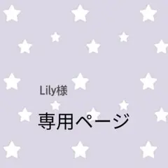 Lily様専用　キッズエプロン&三角巾＋巾着　140～150 ハンドメイド
