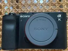 2026年最新】α7C smallrigの人気アイテム - メルカリ