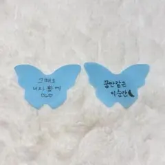 SEVENTEEN D×S ドギョム スングァン 落下物 紙吹雪 蝶 2枚 ⑧