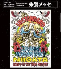 ハイスタ SNB tour 限定ポスター ツアーグッズ Hi-STANDARD Hi-STANDARD SNB TOUR 大阪城ホール 会場限定ポスター ハイスタ｜Yahoo