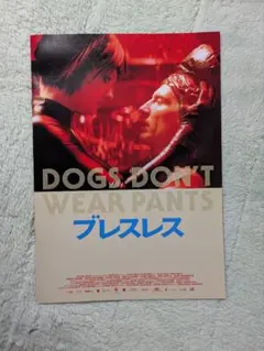 Dogs Don't Wear Pants ブレスレス 映画パンフレット