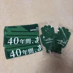 NEC GREEN ROCKETS 記念タオル2枚とグローブ2組のセットのサムネイル