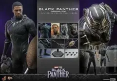 Hot Toys Black Panther Original Suit