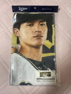 レオレオ様 リクエスト 2点 まとめ商品