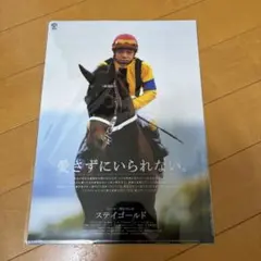 JRA ステイゴールド クリアファイル ヒーロー列伝49 競馬 ヒーロー列伝 No.49 ステイゴールド ポスター - メルカリ