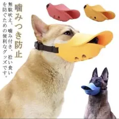 Item thumbnail for item caeb16c0-5ac0-45ea-8e4a-652e4e2239fa