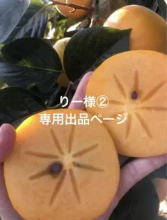 りー様専用出品ページ②