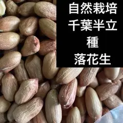 愛知県産 煎り落花生 およそ500g 農薬栽培期間中不使用 - メルカリ
