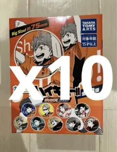 ハイキュー カラパレ 缶バッジ　ジャンプ 10箱　合計100点