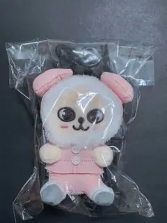 2025年最新】straykids バンチャン ぬいぐるみの人気アイテム - メルカリ