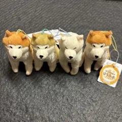 ほっこり秋田犬 はち兵衛 VMCコンプリート ほっこり秋田犬はち兵衛VMC ぬいぐるみ マスコット コンプリートセット
