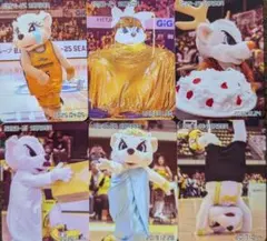 サンロッカーズ渋谷