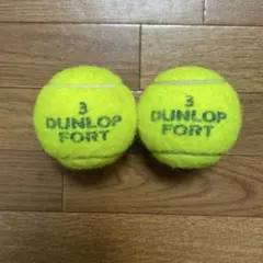 硬式テニスボール