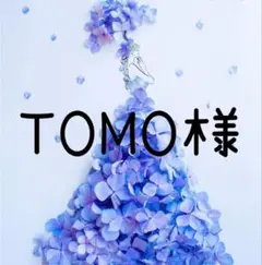 【TOMO様 専用】〜3月分お取り置き〜