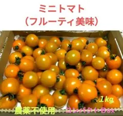 完熟ミニトマトと茗荷と大葉のセット❤フルーティ美味⭐農薬・除草剤不使用のサムネイル