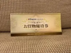 YAMADA HLDGS. お買物優待券 6枚　3000円分