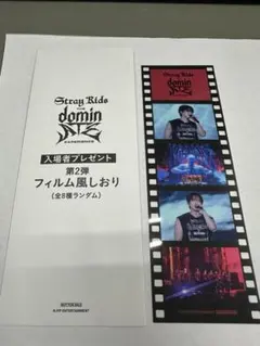 チャンビン】スキズ 映画 フィルム しおり 第2弾 EXPERIENCE - メルカリ
