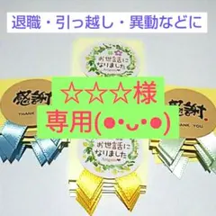 【☆☆☆様】専用です(⁠◕⁠ᴗ⁠◕⁠✿⁠)