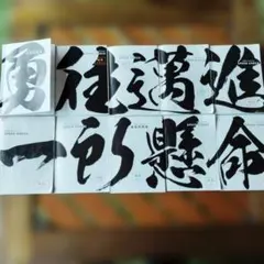 Item thumbnail for item ef920103-edce-4df7-ad03-c103496c15ff