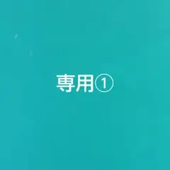 専用①です