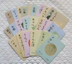 知育　家庭保育園　野菜18枚　果物6枚　絵カード　フラッシュカード