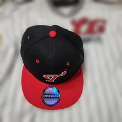 Item thumbnail for item 6ed6bdf2-f42d-43e6-89bf-0b0a15a3db8b