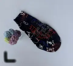 Item thumbnail for item 47afde0c-32a0-41d0-8302-3976b98a484e