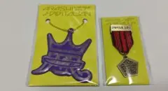 ARASHI LIVE TOUR 2014 / メダルブローチ リフレクター