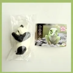신품 미개봉 合掌 パンダ エール