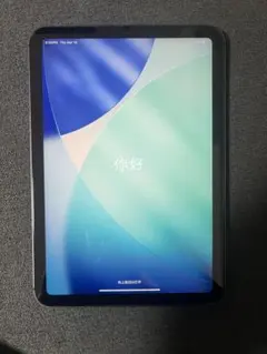 【美品】iPad mini 第6世代 Wi-Fi＋Cellular 256GB