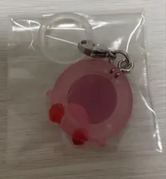 星のカービィ めじるしアクセサリー3