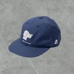 Item thumbnail for item f41dccfd-d1b1-4e72-8f59-0a1ac655e9c6