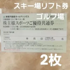 東急不動産ホールディングス スポーツご優待共通券 スキー場リフト券 2枚