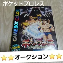 ゲームボーイカラー　ポケットプロレス　 パーフェクトレスラー