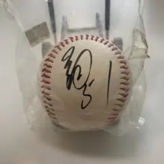 田口壮選手 サインボール オリックスブルーウェーブ ORIX Blue Wave