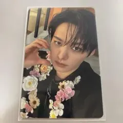 リノ