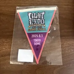 2026年最新】GLAY ガーランドの人気アイテム - メルカリ