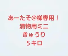 あーたそ@様専用！漬物用ミニきゅうり５キロ
