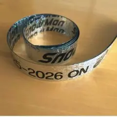 Item thumbnail for item 589cadbe-7ace-4ac8-a33d-68f016f84091