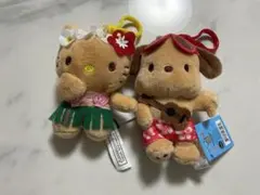 【ハワイ限定】日焼けキティ　日焼けポチャッコ ABCstore レアキーホルダー